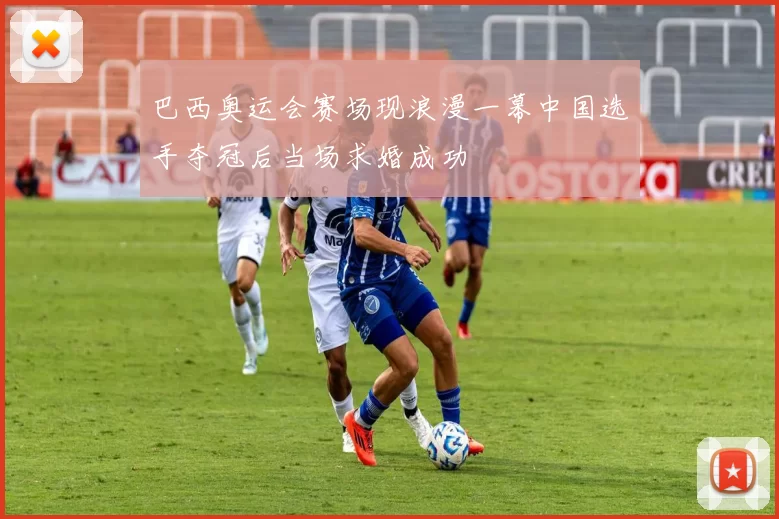 巴西奥运会赛场现浪漫一幕中国选手夺冠后当场求婚成功